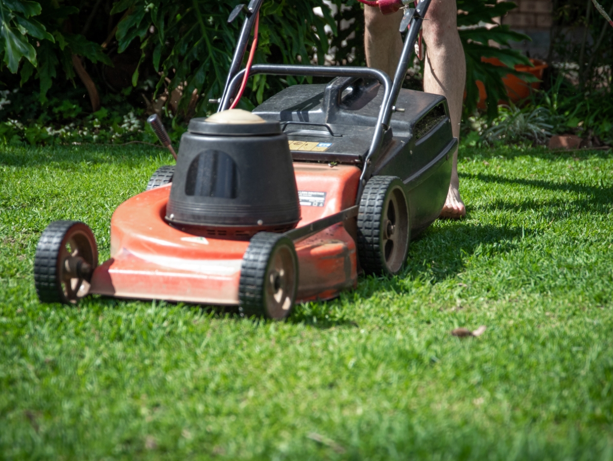 California landscapers SORE over new gaspowered engine ban